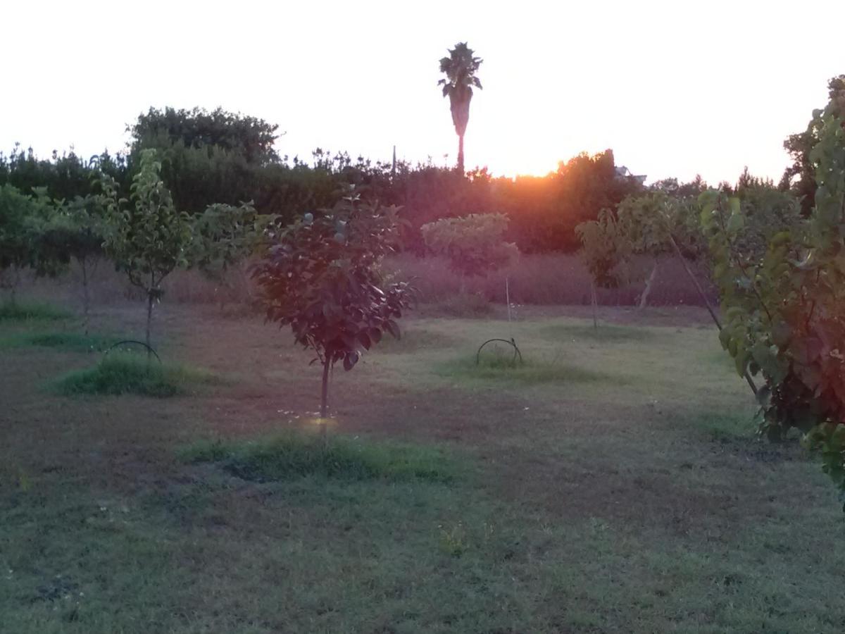 Casetta Vacanza In Campagna Aradeo Экстерьер фото