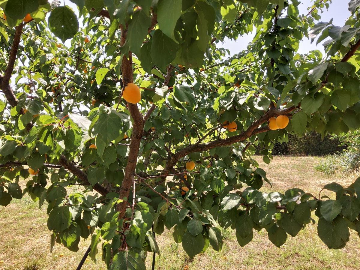 Casetta Vacanza In Campagna Aradeo Экстерьер фото