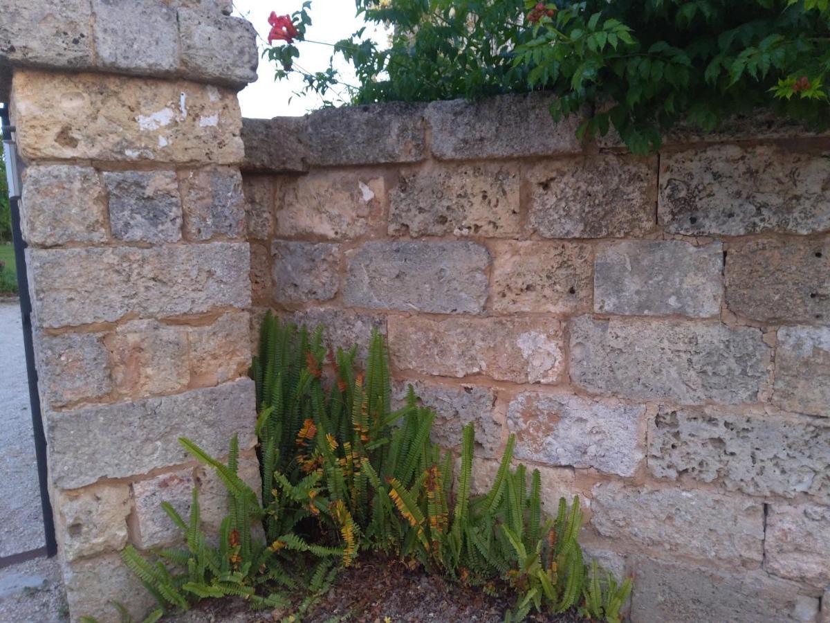 Casetta Vacanza In Campagna Aradeo Экстерьер фото