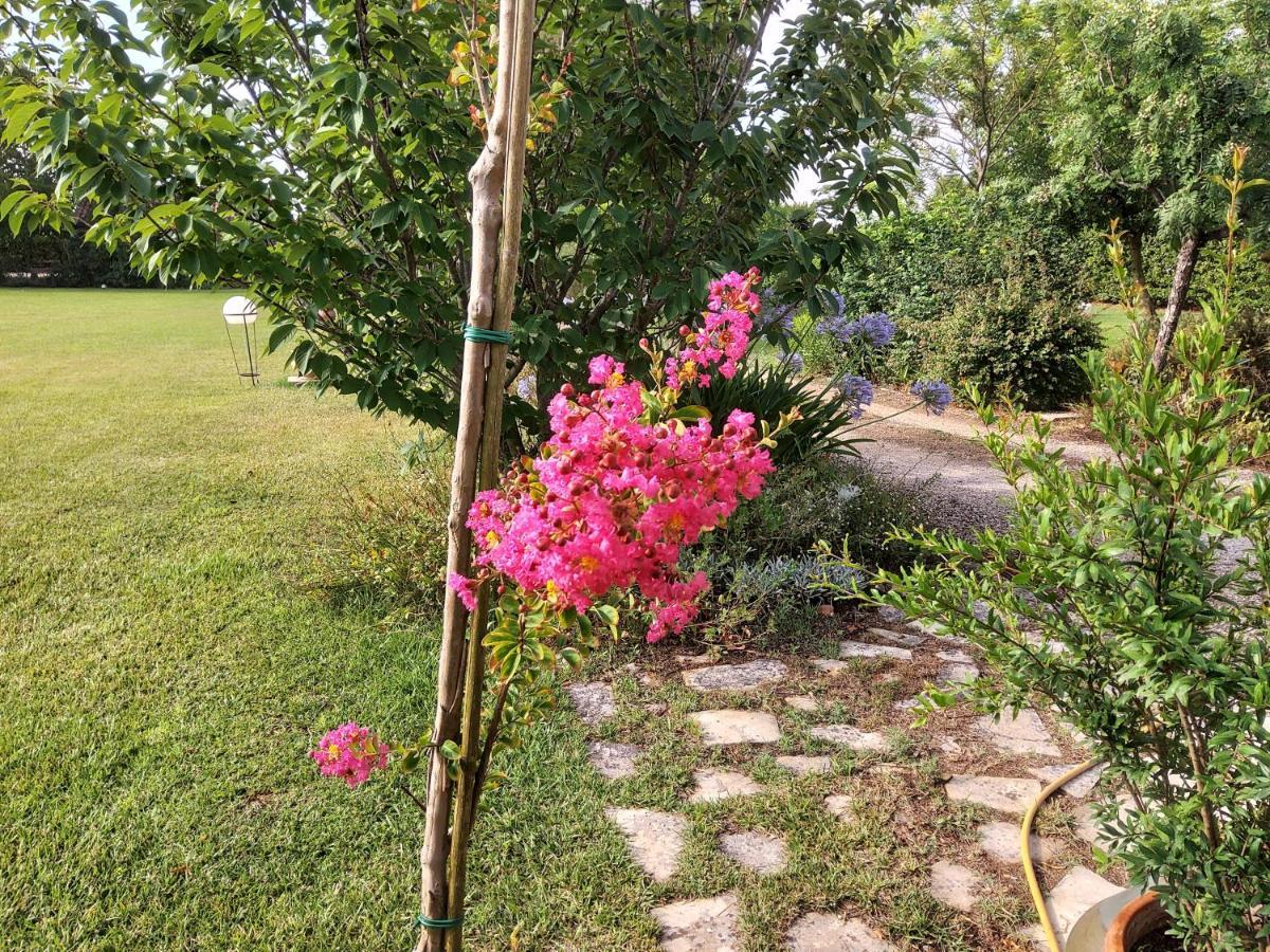 Casetta Vacanza In Campagna Aradeo Экстерьер фото