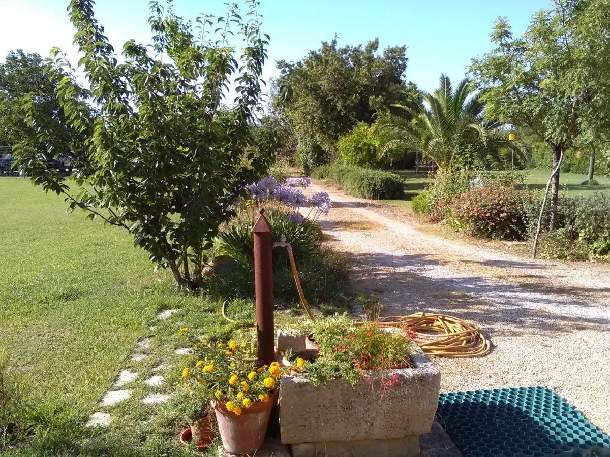 Casetta Vacanza In Campagna Aradeo Экстерьер фото