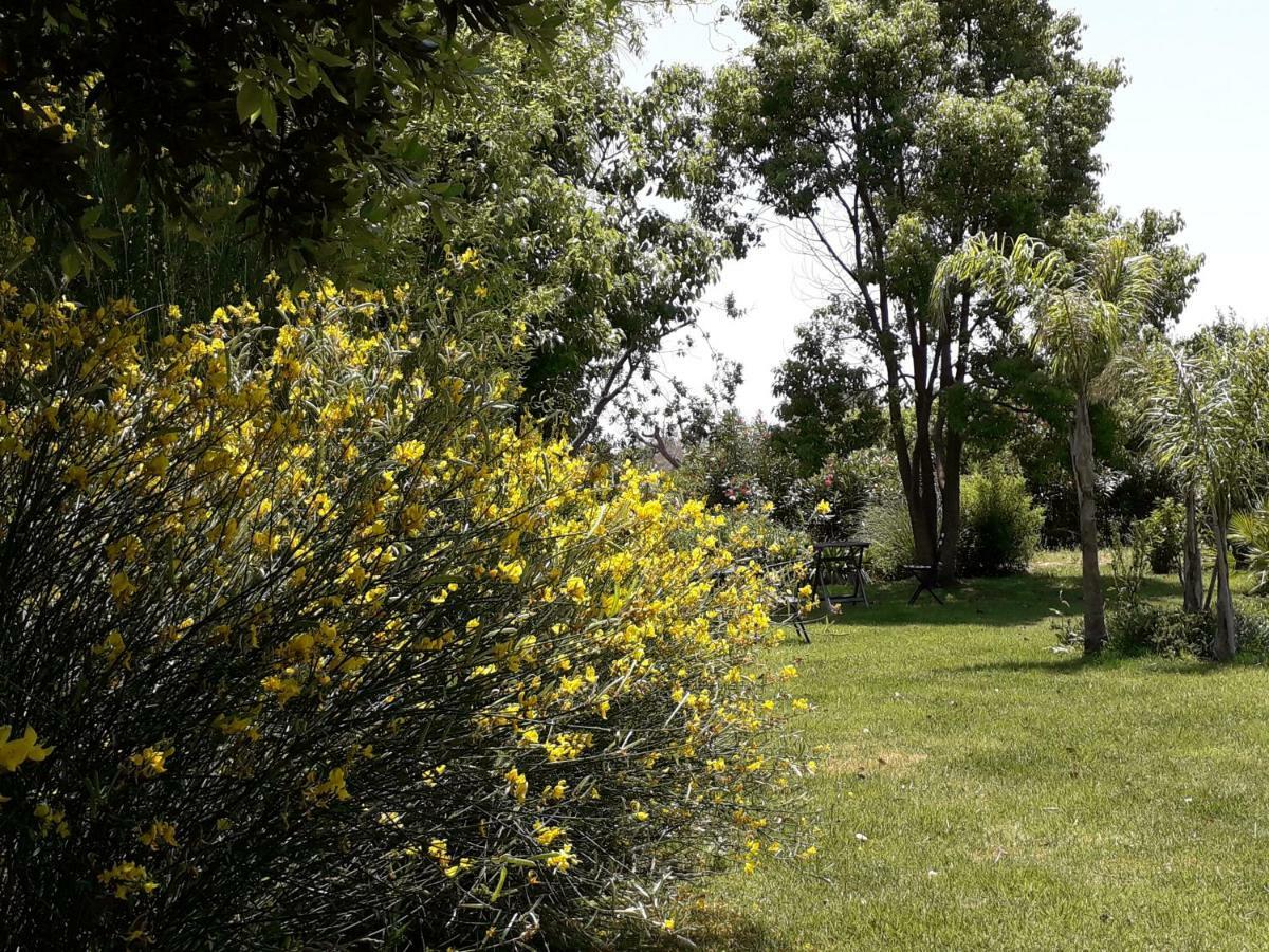 Casetta Vacanza In Campagna Aradeo Экстерьер фото